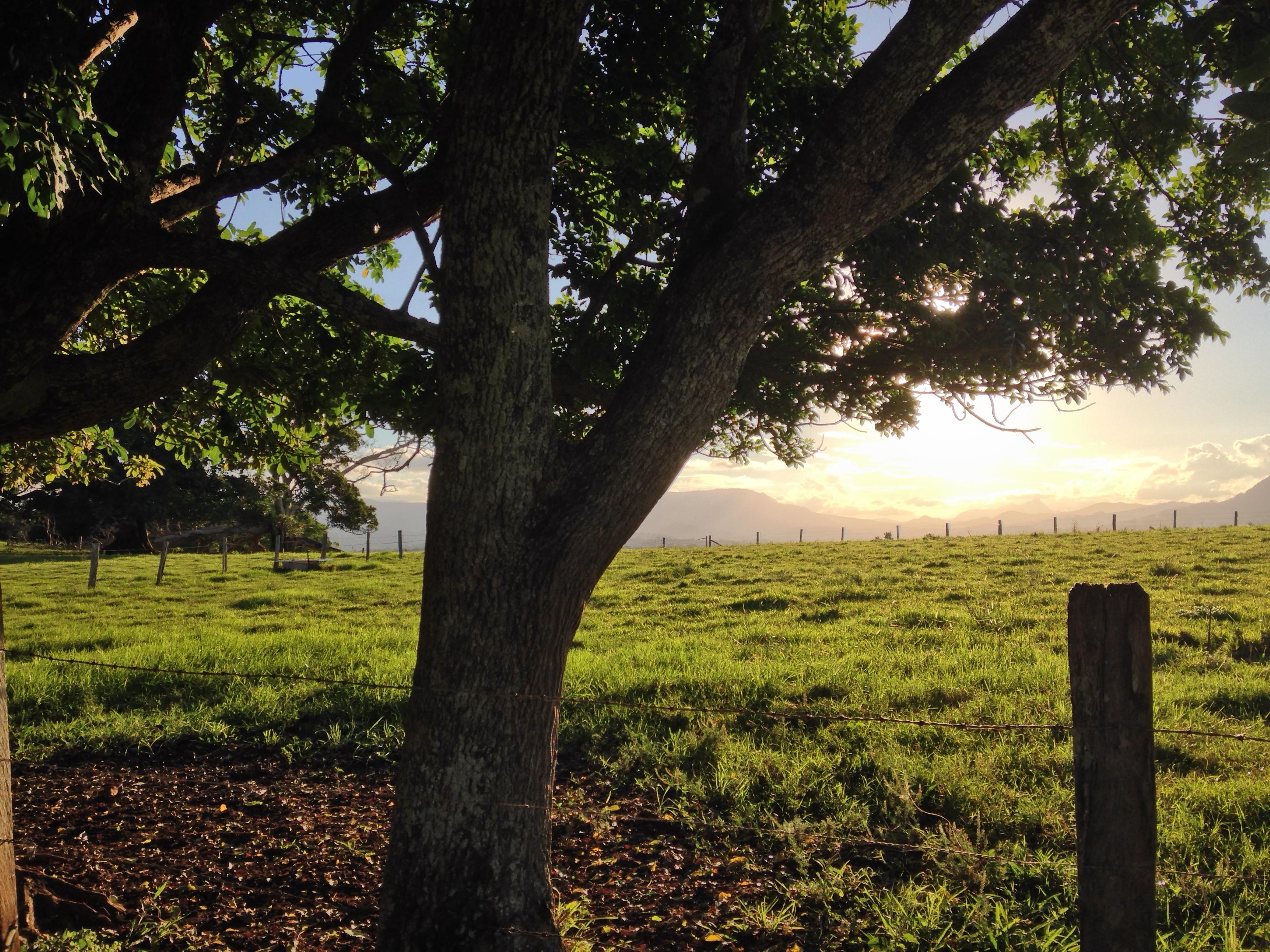 Seven Reasons to Invest in Ecological Farming - Global AgInvesting