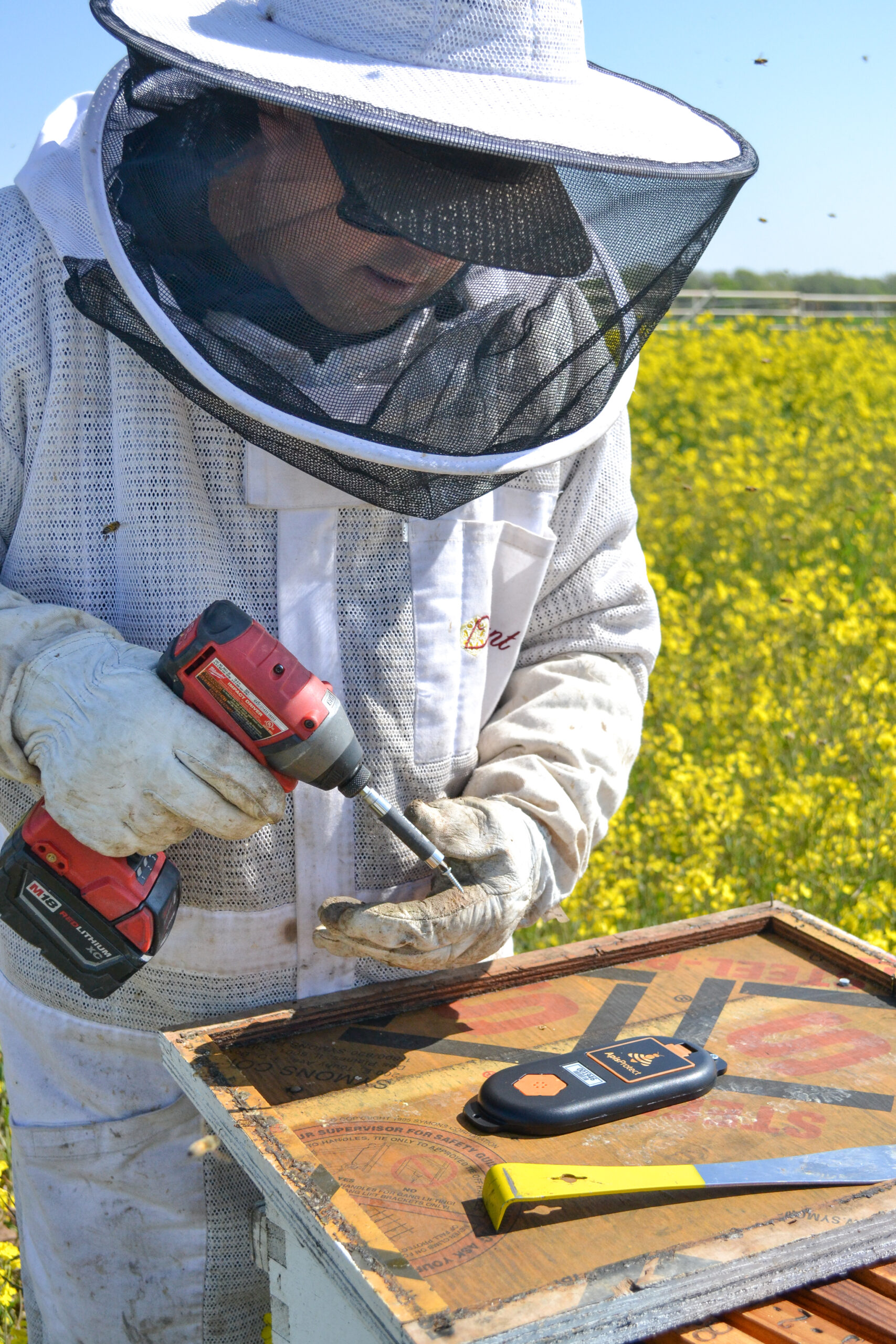 What’s All the Buzz? Celebrating Global Pollinators on World Bee Day, May 20