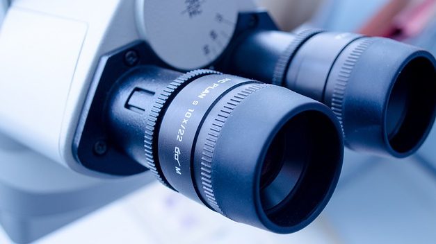 Former Monsanto Exec Joins Paine & Partners