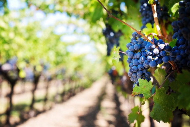 Primewest More Than Triples Funding Target for Farmland Trust to $350M
