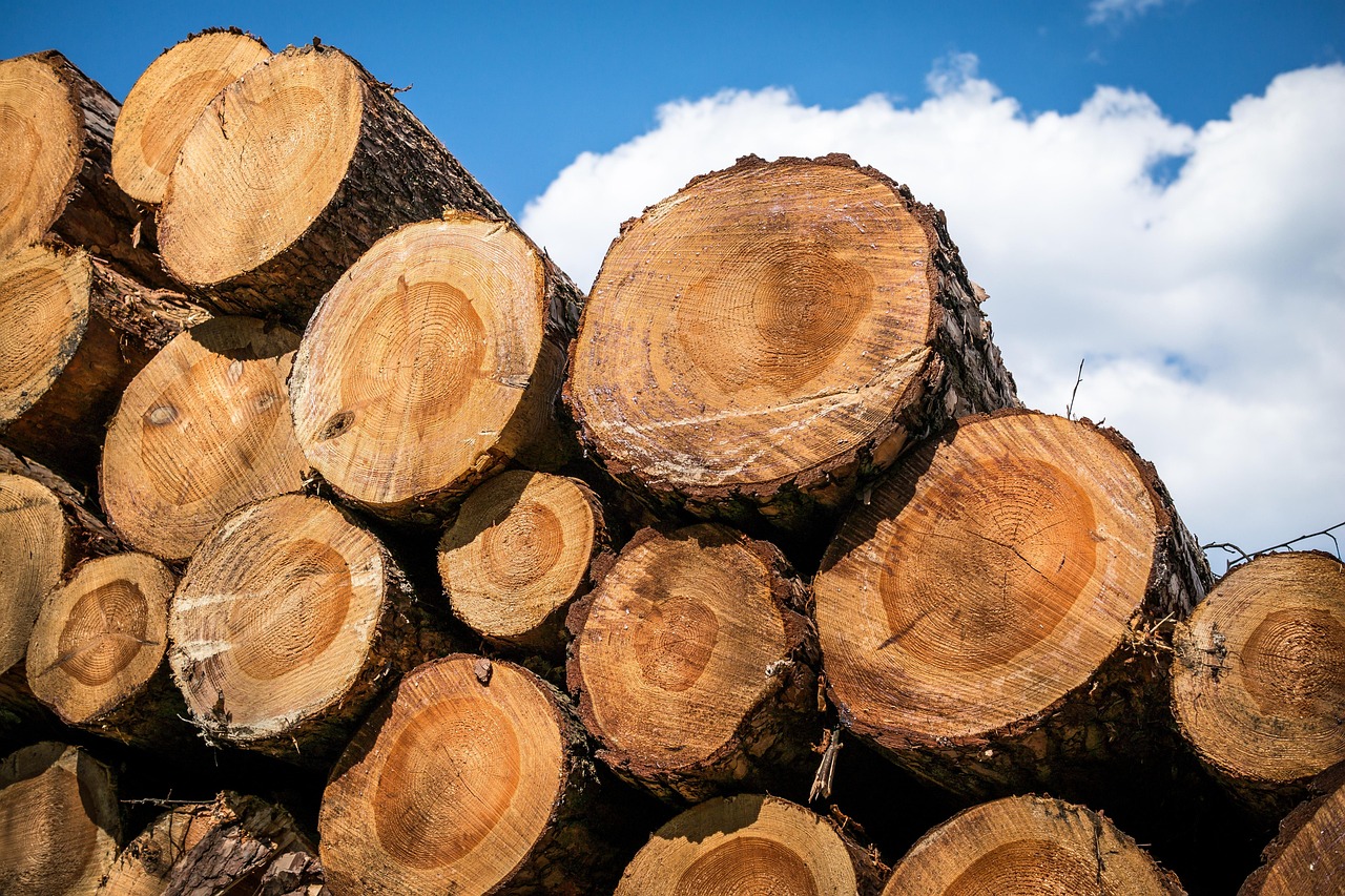 timber via pixabay