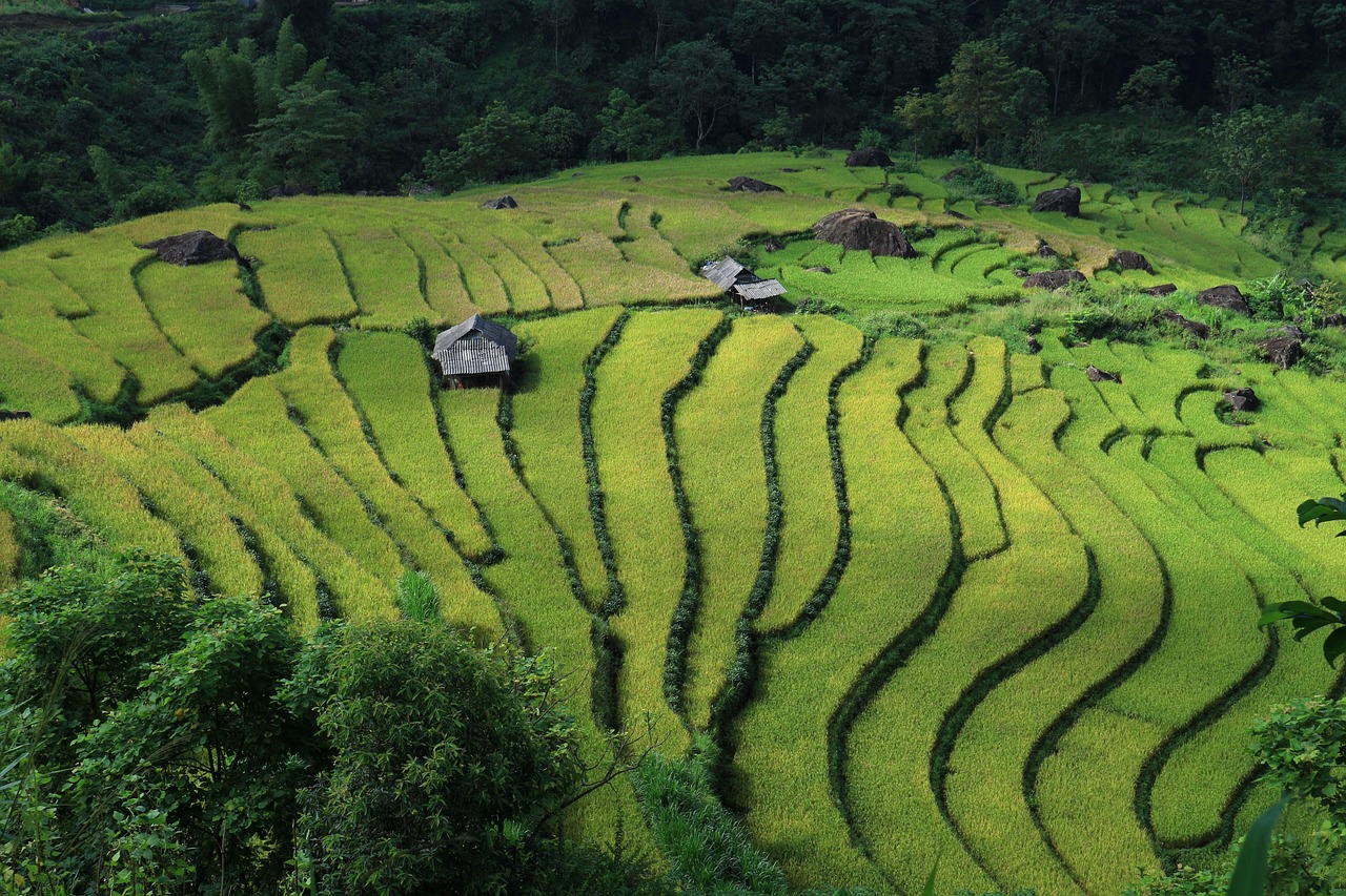 Vietnam via pixabay