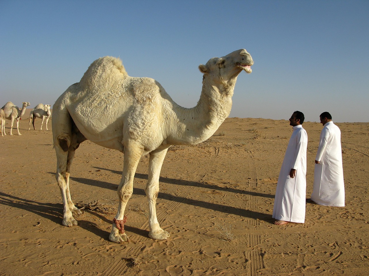 Saudi Arabia via Pixabay