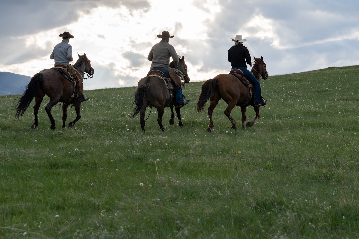 Cato Ranch