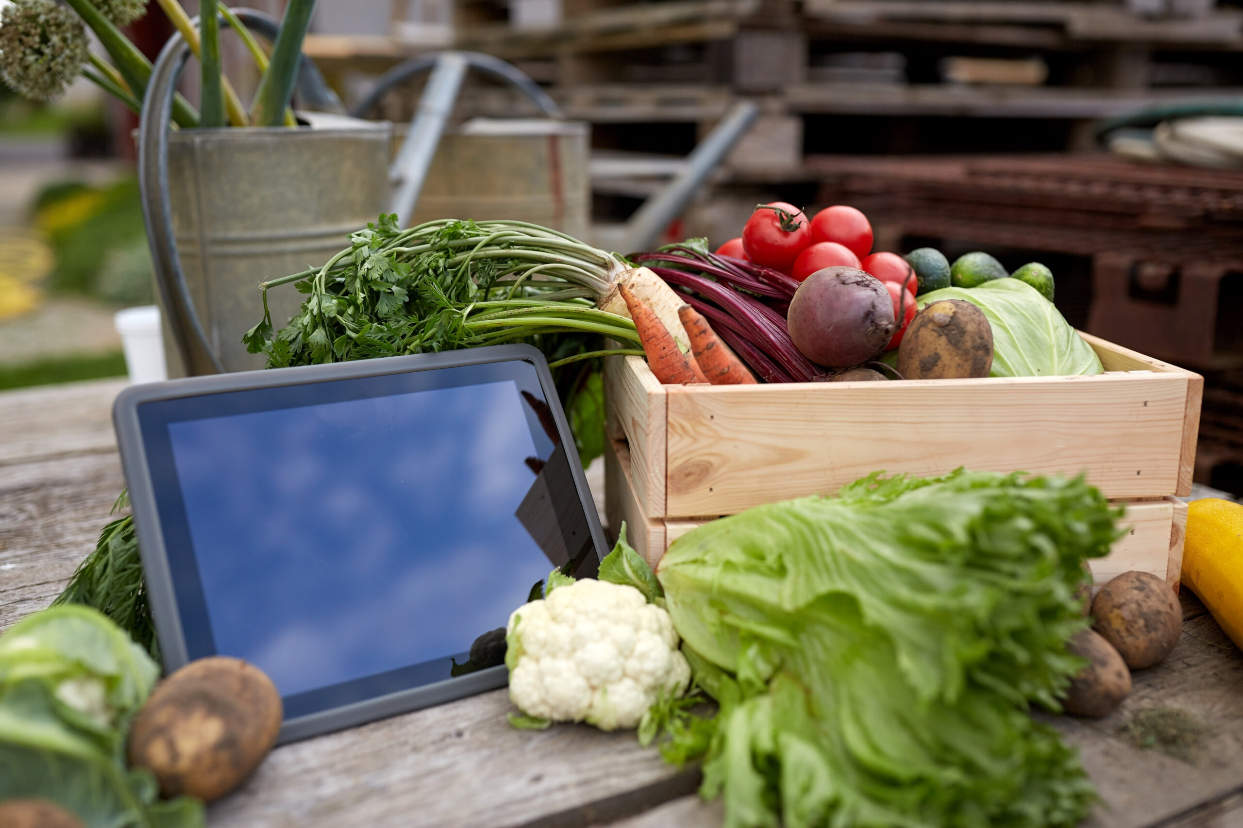 Italy’s Maia Ventures Secures €55M to Back Agtech Food Startup Founders
