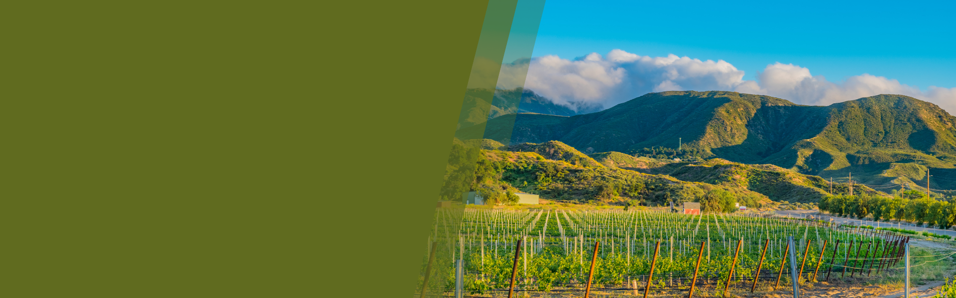 USWest Header