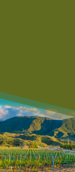 mobile header uswest